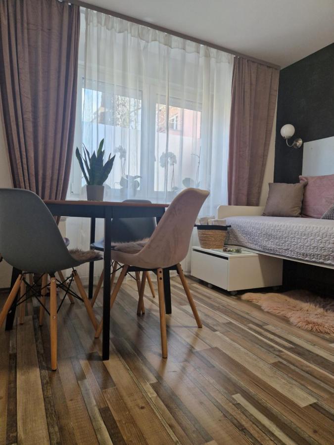 Friz&Fany Postojna City Center エクステリア 写真